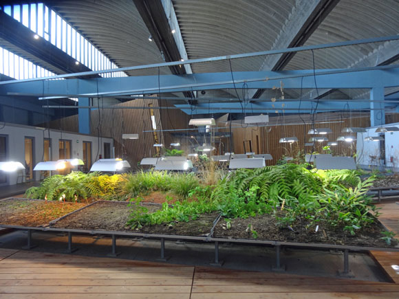 Garten der Diaspora in der Akademie des Jüdischen Museums